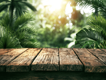Rustic Wooden Tabletop in Tropical Rainforest