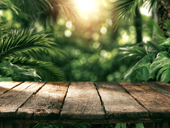 Rustic Wooden Tabletop Surrounded by Tropical Rainforest