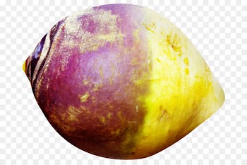 Rutabaga, Turnip, Root Vegetables, Easter Egg, Purple PNG