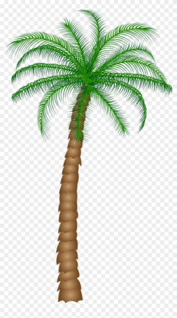 Árvores Coqueiro 2 Png - Clipart Palm Tree Png