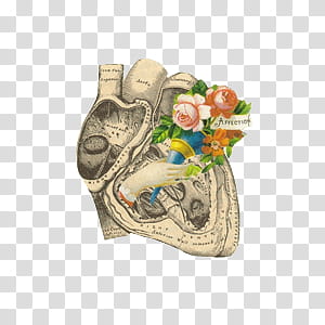 S, beige and green heart illustration transparent background PNG clipart