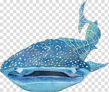 S, blue whale animated illustration transparent background PNG clipart