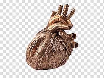 S, brown heart illustration transparent background PNG clipart