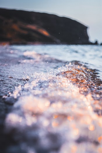 S E A