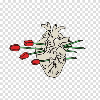 S, human heart and red roses illustration transparent background PNG clipart