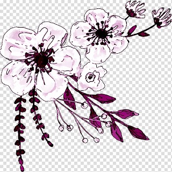 S.O.S. Amor: Para apaixonadas (ou desesperadas) Award Nomination Blog Phrase, watercolor flowers transparent background PNG clipart