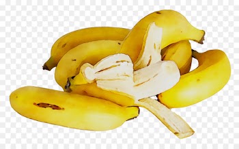 Saba banana Cooking banana Food Golden Banana -  