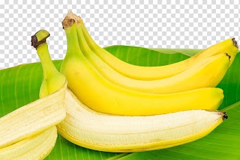 Saba banana Cooking banana Musa xd7 paradisiaca Breakfast, Banana and banana leaves transparent background PNG clipart