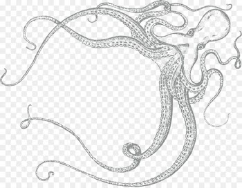 Sabor Tapas Restaurant Heddon Street Bar - awarding filigree 