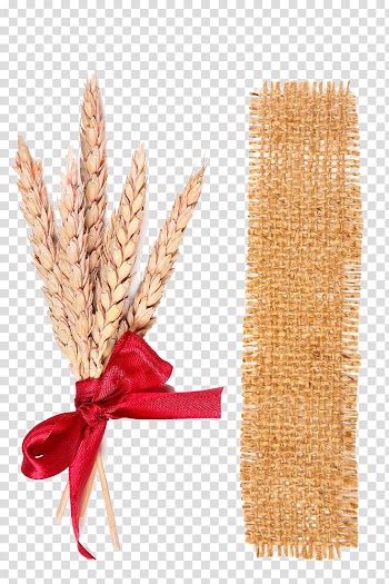 Sacks, cloth and wheat transparent background PNG clipart