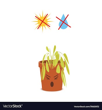 sad potted plant character with crossed out water