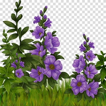 Sadness Hammock Fight Flower, Purple hibiscus transparent background PNG clipart