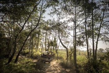 Safari jeep tour in Kumrose | Free Photo - rawpixel