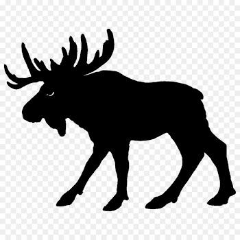Safari Ltd Moose Action & Toy Figures Animal figurine -  