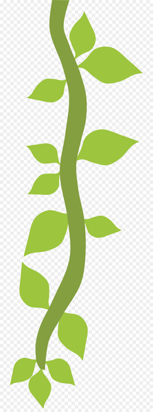Safari Page layout Clip art - jungle safari 