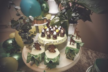 Safari Themed Party