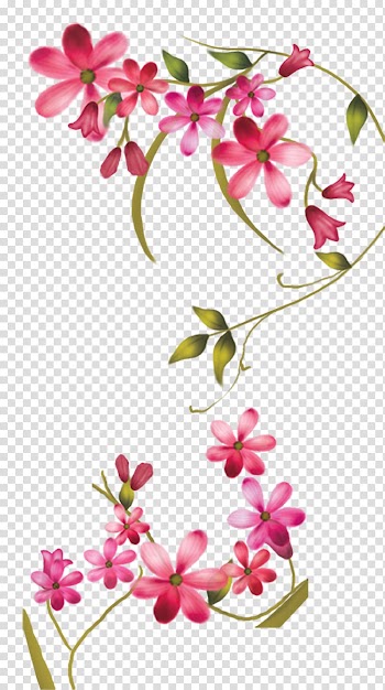 Safflower decoration transparent background PNG clipart