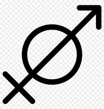 Sagittarius Png - No Camera Png Icon