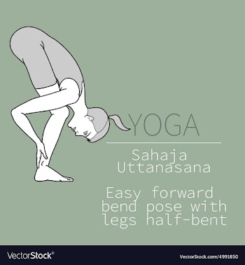 Sahaja Uttanasana Easy forward bend pose with vector image