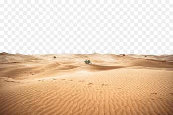 Sahara Erg Beer - A desert 