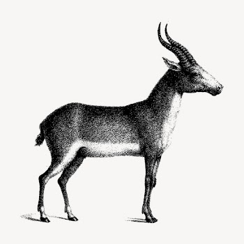 Saiga antelope clipart, vintage animal | Free Vector - rawpixel
