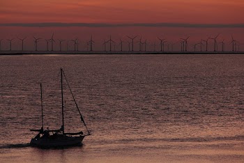 Sailboat Sailing Near Windmills during Golden Hour