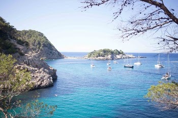 Sailboats In Cove