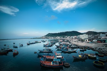 Sailboats on Body of Water