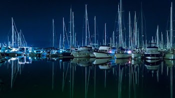 sailboats park on dock
