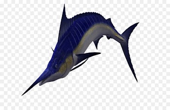 Sailfish Atlantic blue marlin Clip art - swordfish 