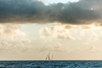 sailing boat on body of water