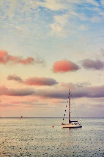Sailing Sailboat