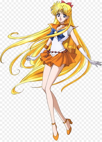 Sailor Venus Sailor Moon Sailor Mercury Sailor Mars Chibiusa - sailor moon 