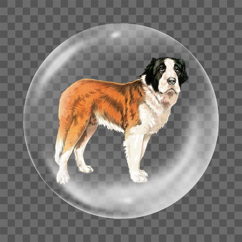 Saint bernard png dog sticker, | Free PNG - rawpixel