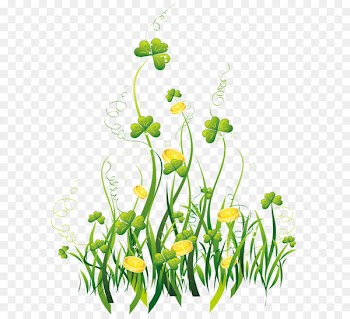 Saint Patrick's Day Shamrock Clip art - St Patrick Shamrocks with Gold Coins Decor PNG Clipart Picture 