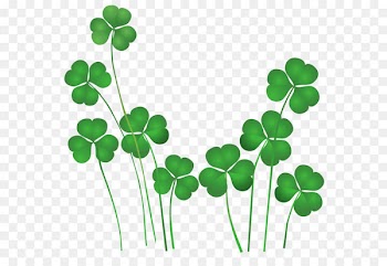 Saint Patrick's Day Shamrock Leprechaun Irish people Clip art - St Patricks Day Shamrocks Decor PNG Clipart 