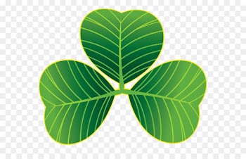 Saint Patrick's Day Shamrock March 17 Clip art - St Patricks Day Shamrocks PNG Clipart 
