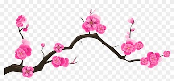 Sakura Branch Transparent Clip Art Image - Transparent Background Cherry Blossom Clip Art