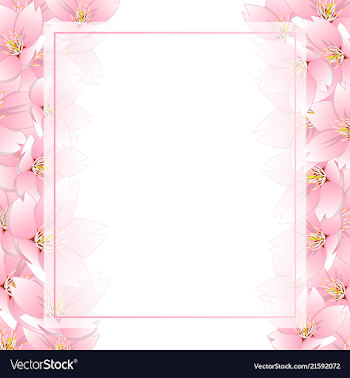 Sakura cherry blossom banner card border Vector Image