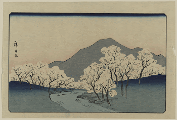 Sakura namiki zu. Original from the Library | Free Photo - rawpixel