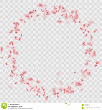 Sakura Petals Circle Frame On Transparent Background. EPS 10 ...