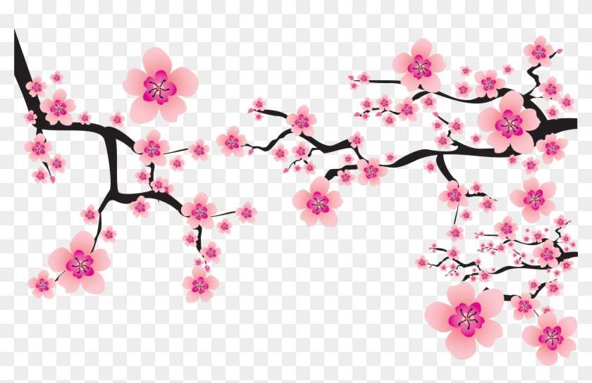 Sakura Png - Cherry Blossom Vector Png