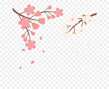 Sakura Sushi & Hibachi Cherry blossom Color - Hand-painted in two colors cherry 