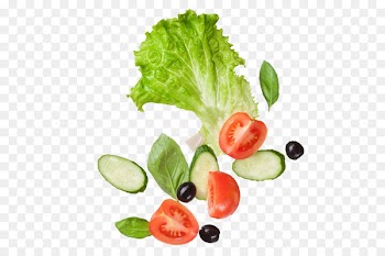 Salad Vegetable Tomato Stock photography Lettuce - Vegetables and tomatoes 