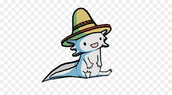 Salamander Axolotl Pet Aquarium Drawing - amphibian 
