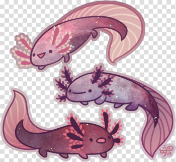 Salamander PNG Image with Transparent Background