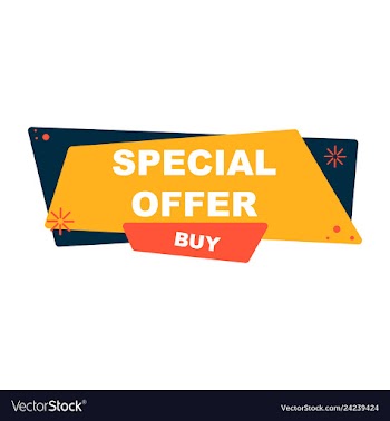 Sale banner template design big sale special vector image