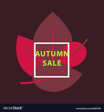 Sale banner template design in color vector image