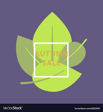 Sale banner template design in color vector image