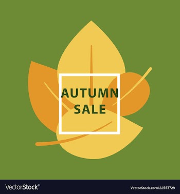 Sale banner template design in color vector image